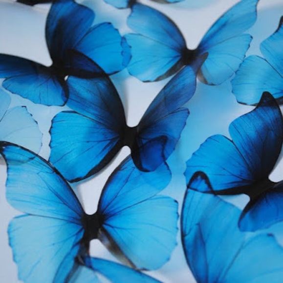 Meet your Posher, Desiree - Picture 1 of 1